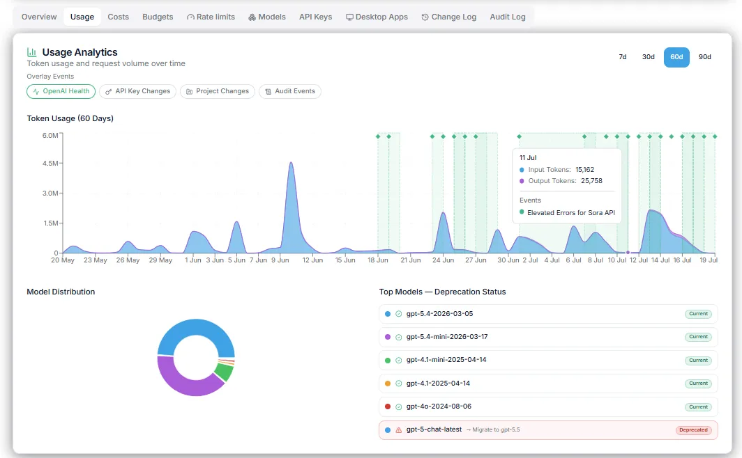 CIQ Cloud -OpenAI Usage Analytics