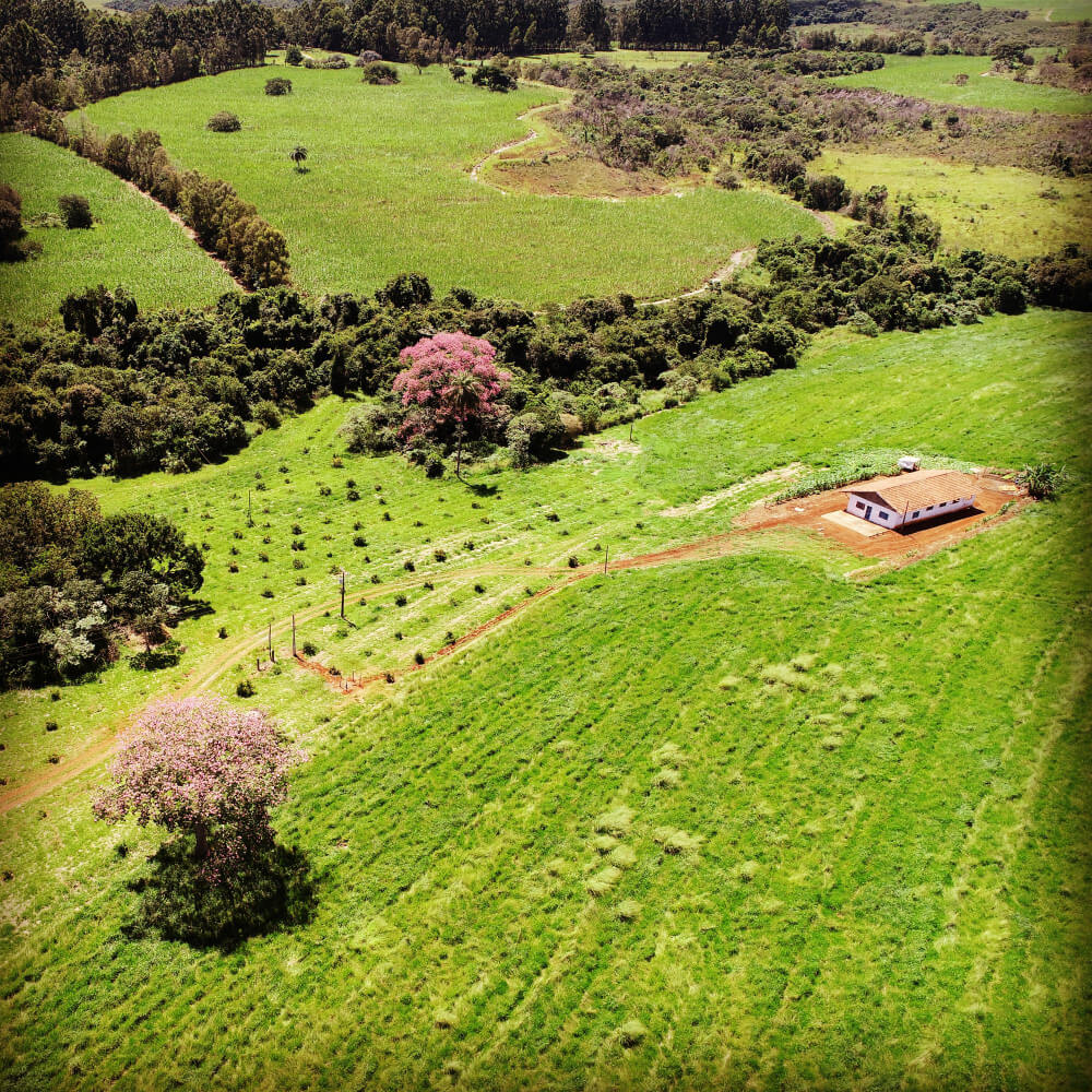 Land and Acreage