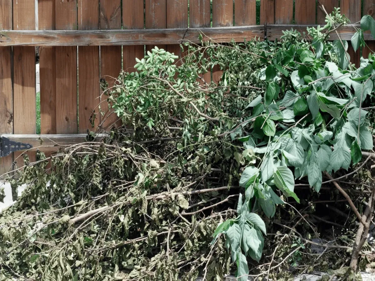 green waste removal sydney garden waste cleanup service