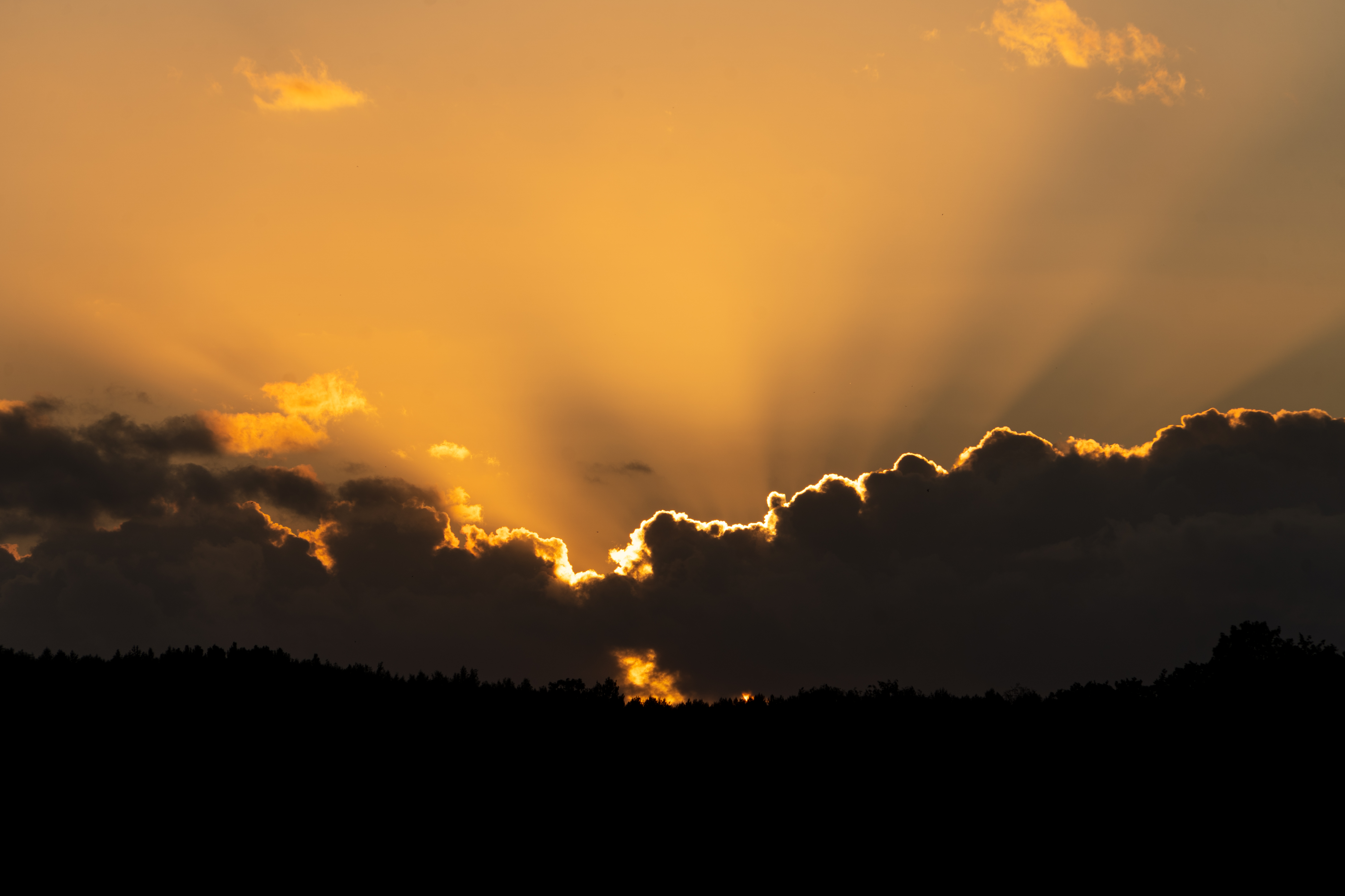 Golden sunset raise