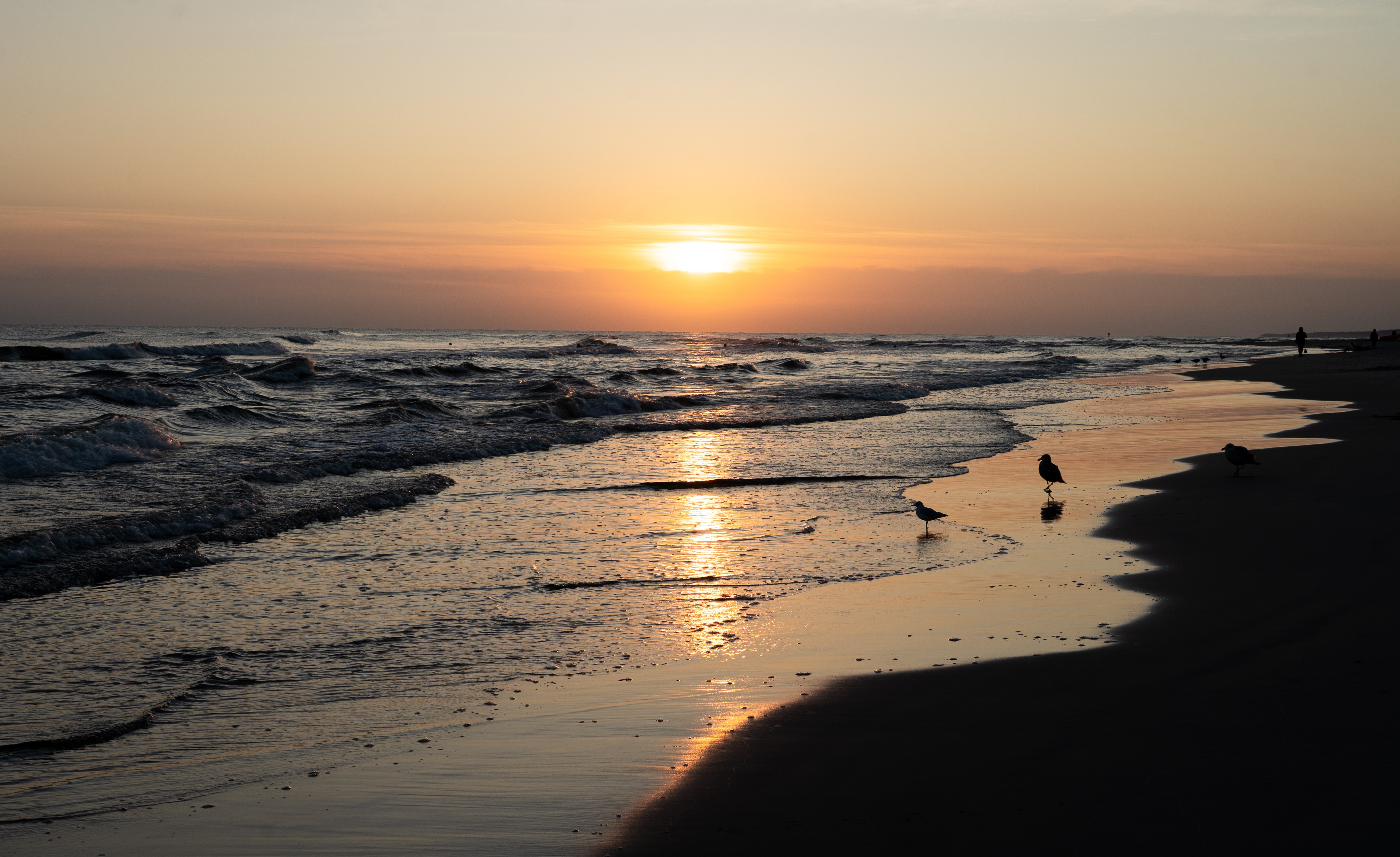 Golden beach sunrise, Poland