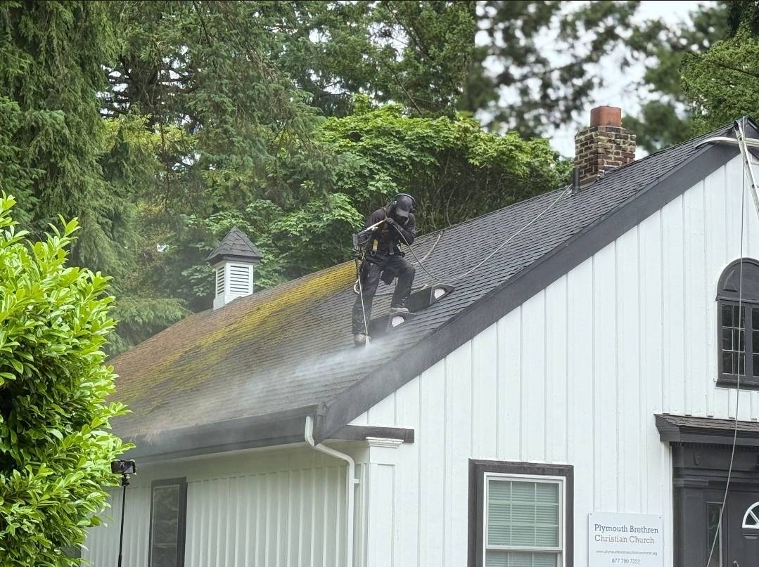 Seattle Moss Treatment