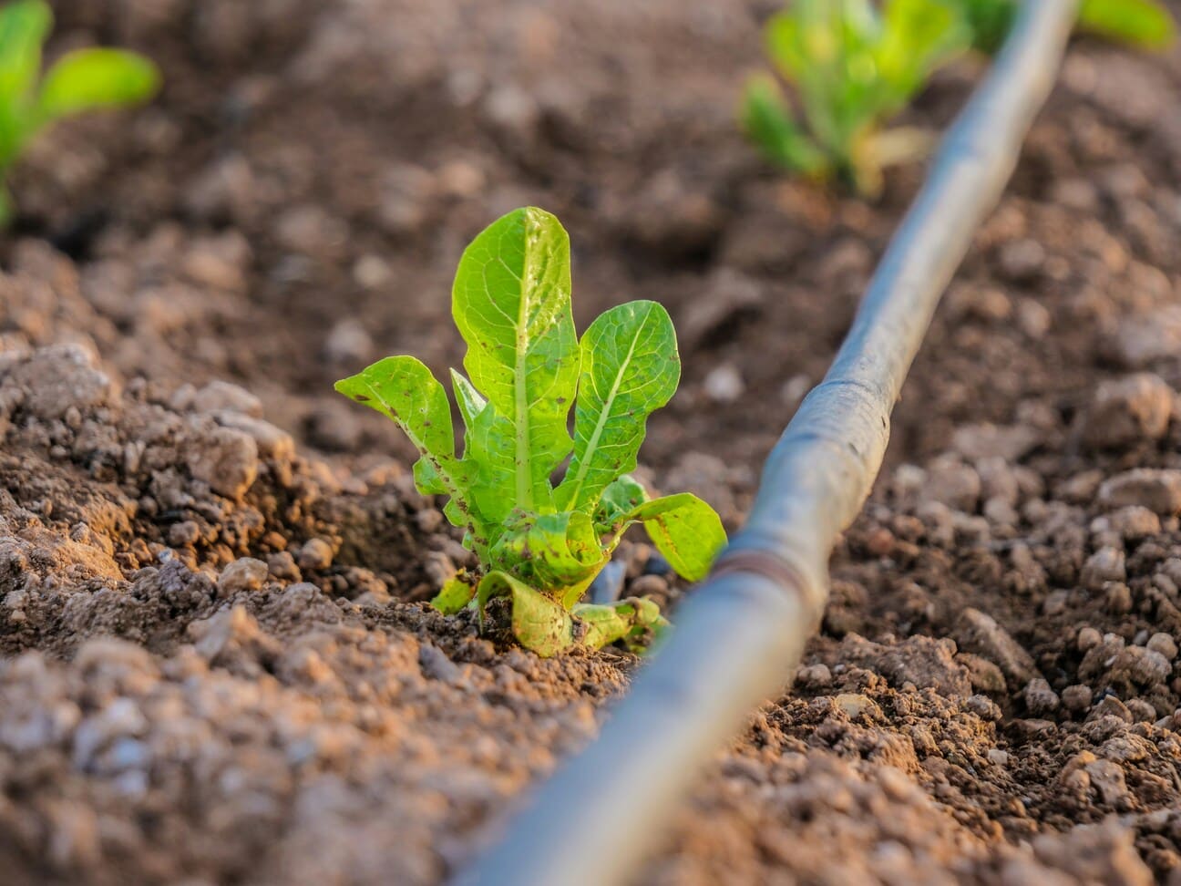  Irrigation Installation