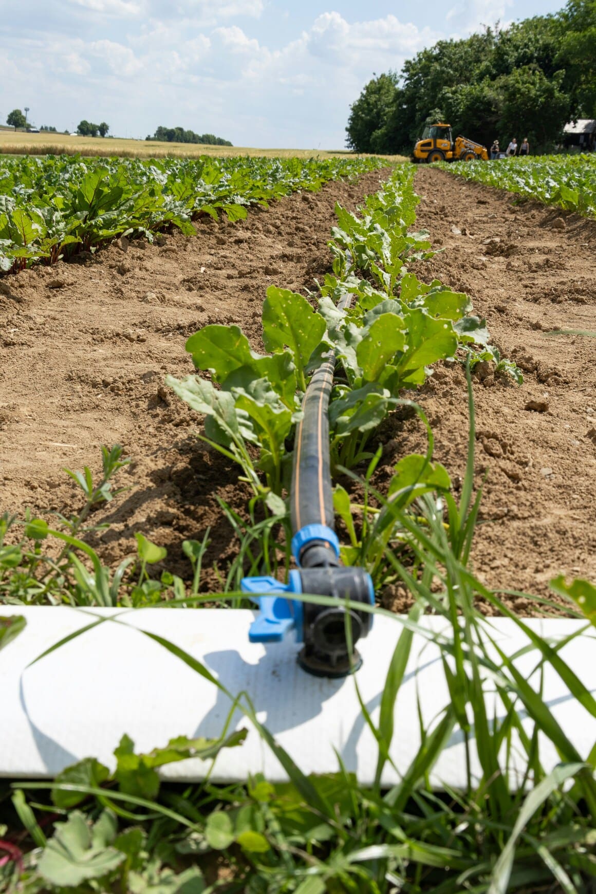  Irrigation Repair & Tune-Ups