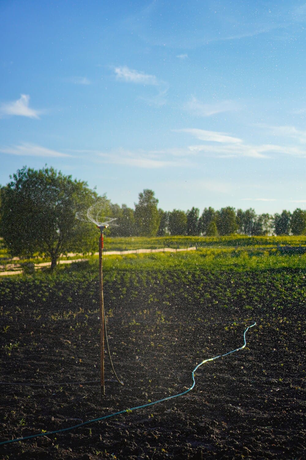  Irrigation Repair & Tune-Ups