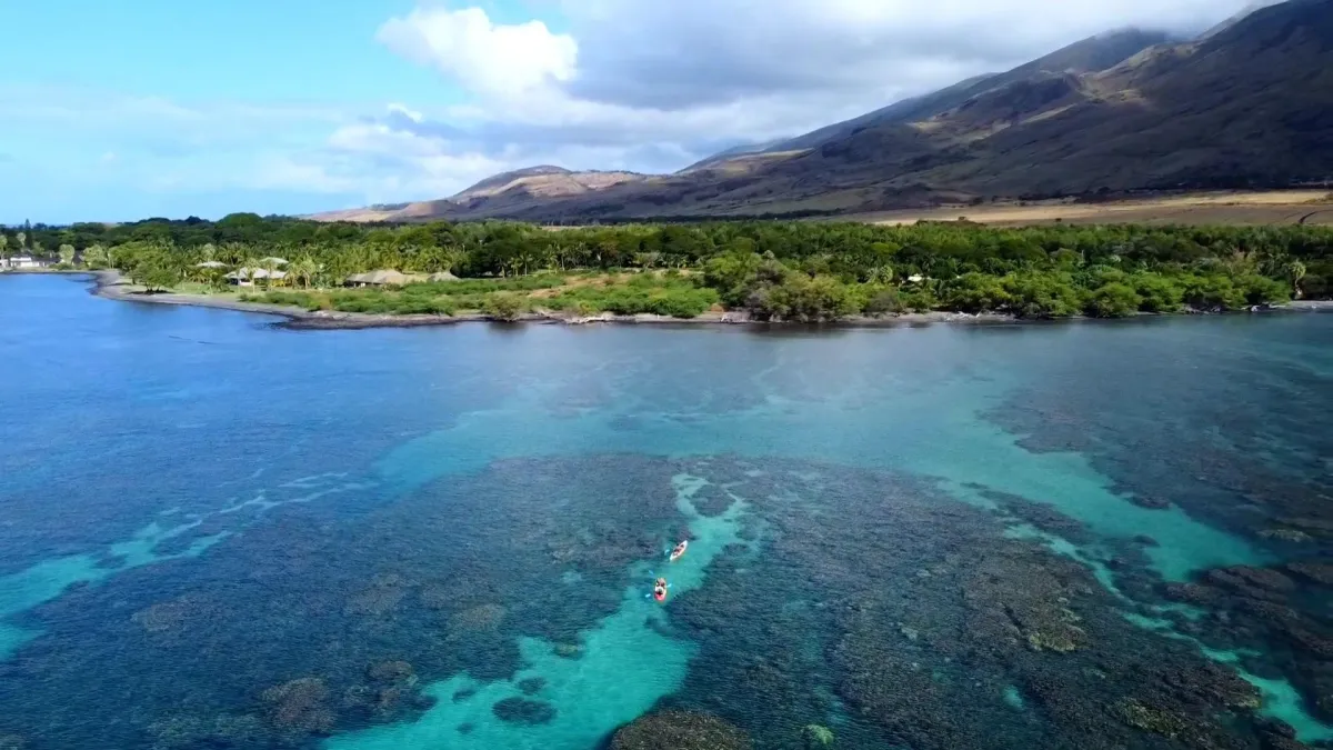 Snorkeling near Lahana