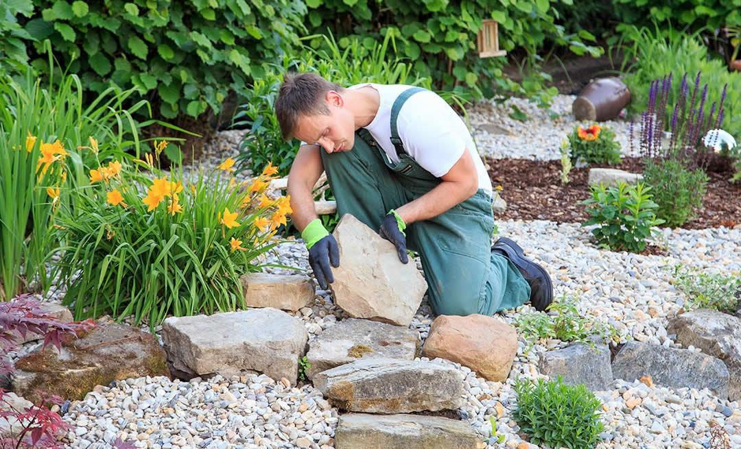 fields by duran: Gardener arranging large rocks in a landscaped garden with flowering plants and decorative gravel.