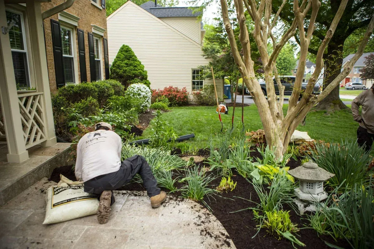fields by duran: Landscaper planting and mulching flower beds in the front yard of a suburban home.