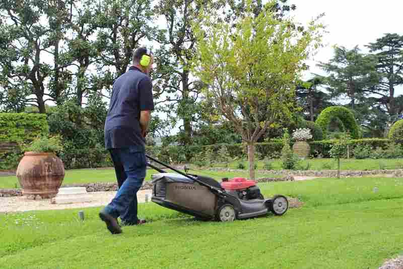 fields by duran: Gardener mowing a green lawn in a landscaped garden with trees and large clay pots.