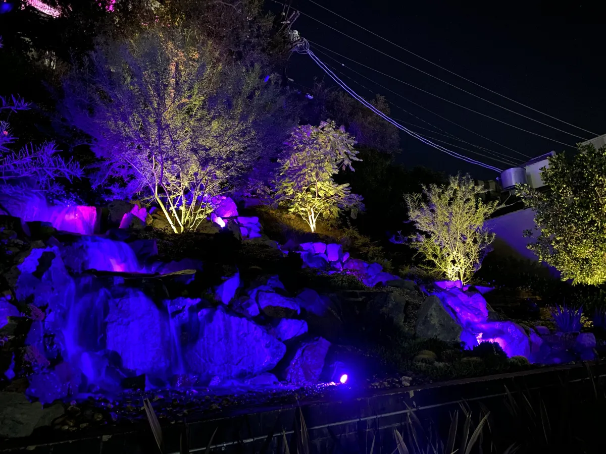 fields by duran: Contemporary garden pathway with integrated LED lighting, surrounded by plants and trees at night.
