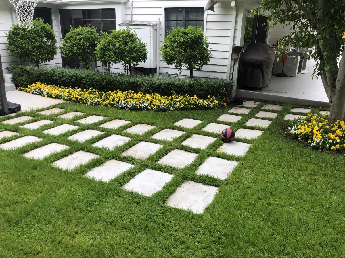 fields by duran: Contemporary backyard with tall privacy hedges, square shrub planters, stone walkway, green lawn, and a modern house with vine-covered walls.
