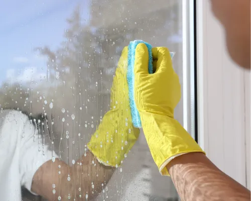 Pottstown Window Cleaning