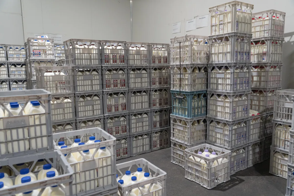 frigbot refrigeration monitoring Sunshine Coast