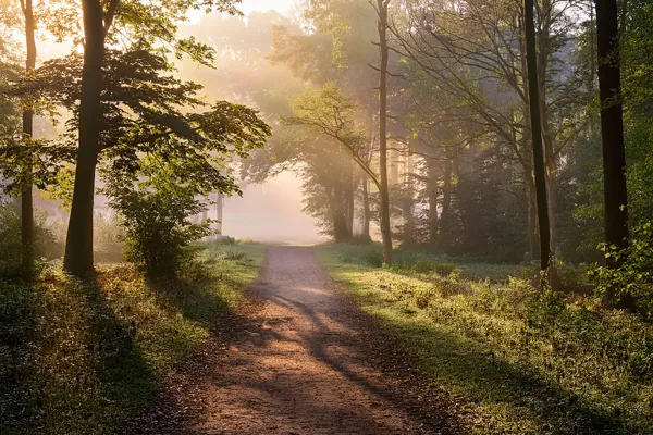 Why Do We Wait for Clarity Before We Begin?