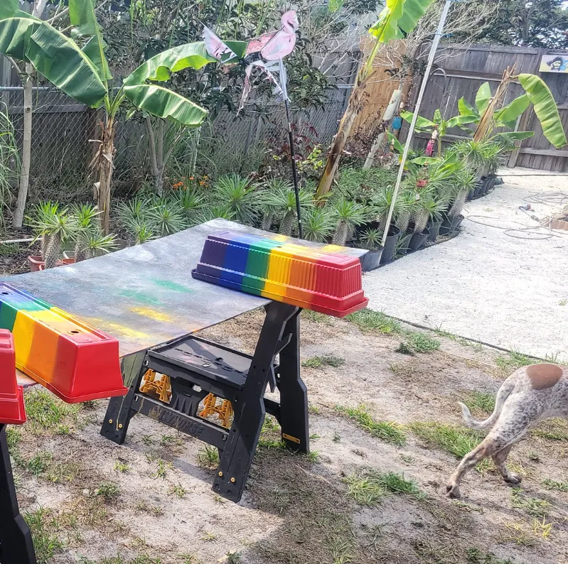 A vibrant backyard with rainbow-colored planters on a workbench, surrounded by plants and greenery.