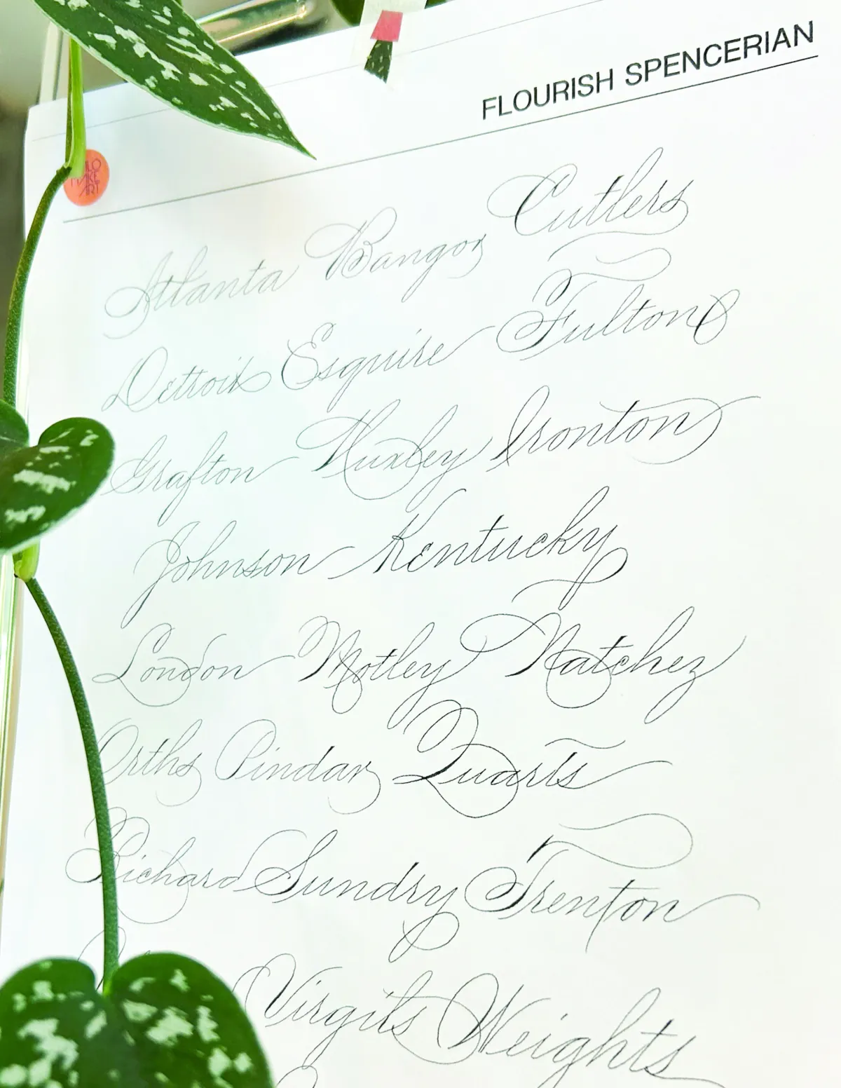 Kalo Chu - Art of Spencerian