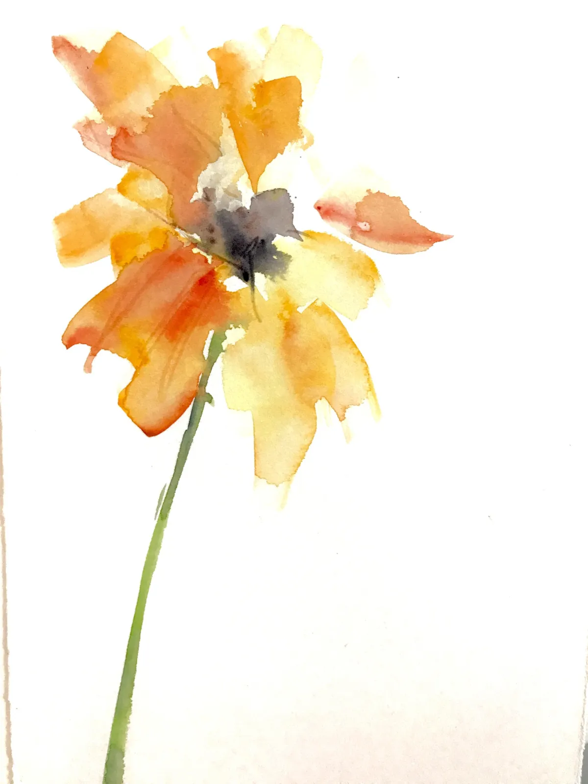 Edged Brush Florals and the Abstract: