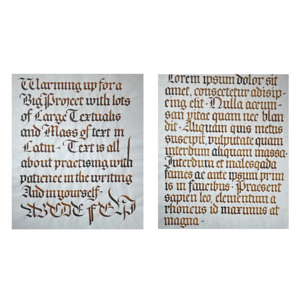 Textualis Quadrata Gothic calligraphy sample by Paul Antonio