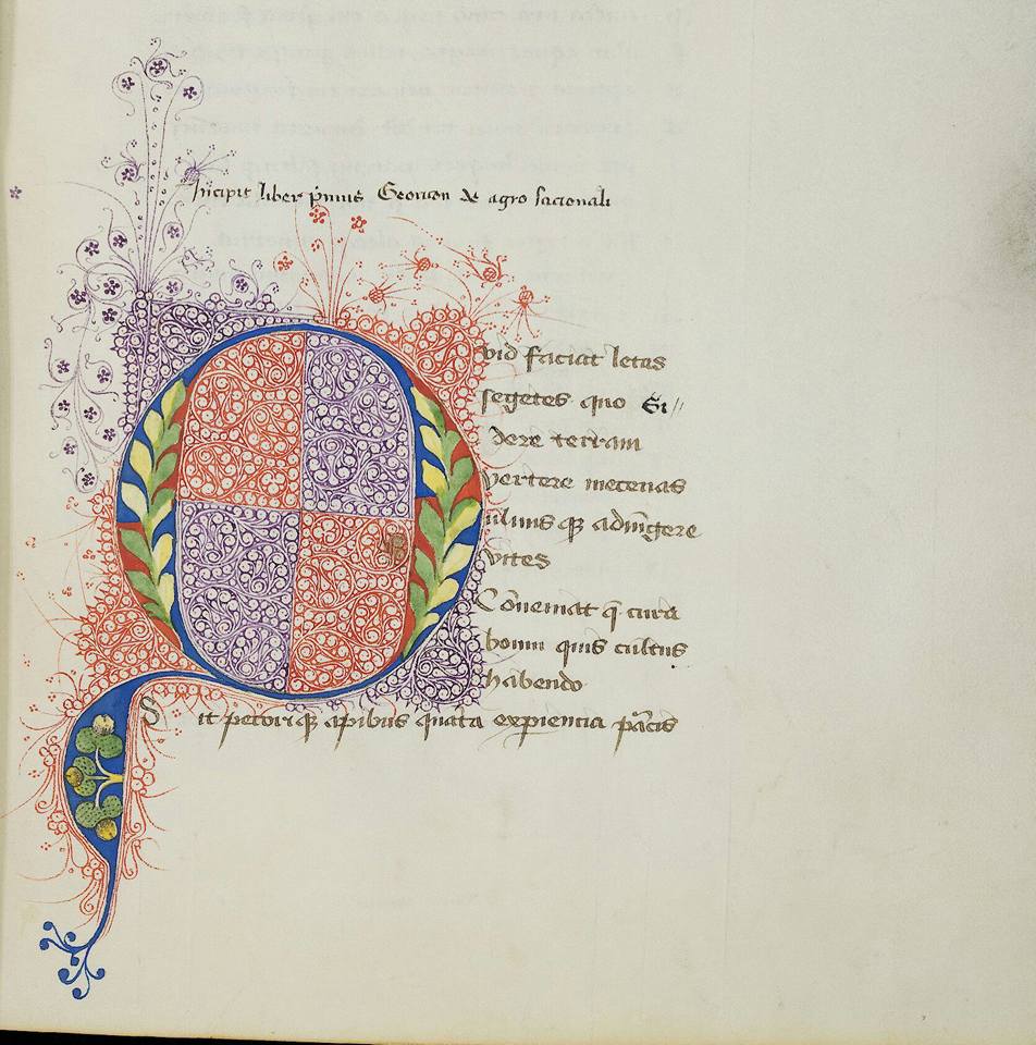 Filagree - Cheryl Tefft