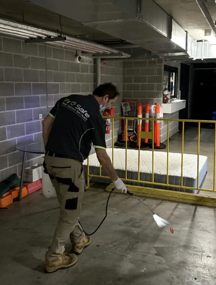 Property Maintenance Ellenbrook