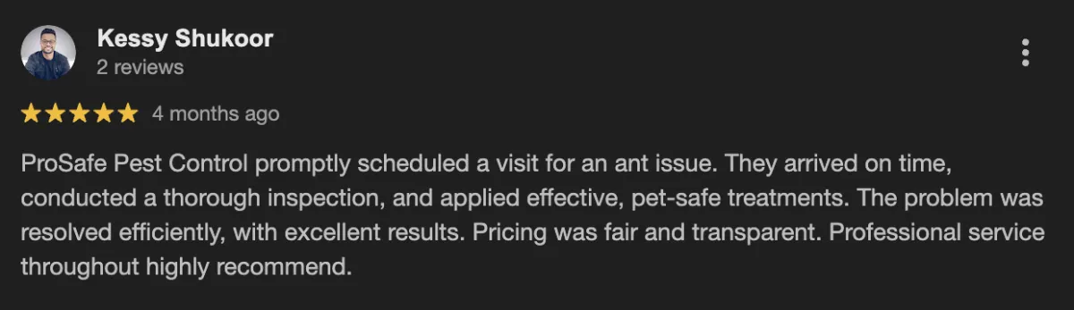 Yard Clean Up Service Ellenbrook