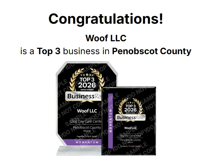 Top Dog in Penobscot County: Woof LLC Earns #1 Dog Daycare Ranking and Top 3 Business Honor