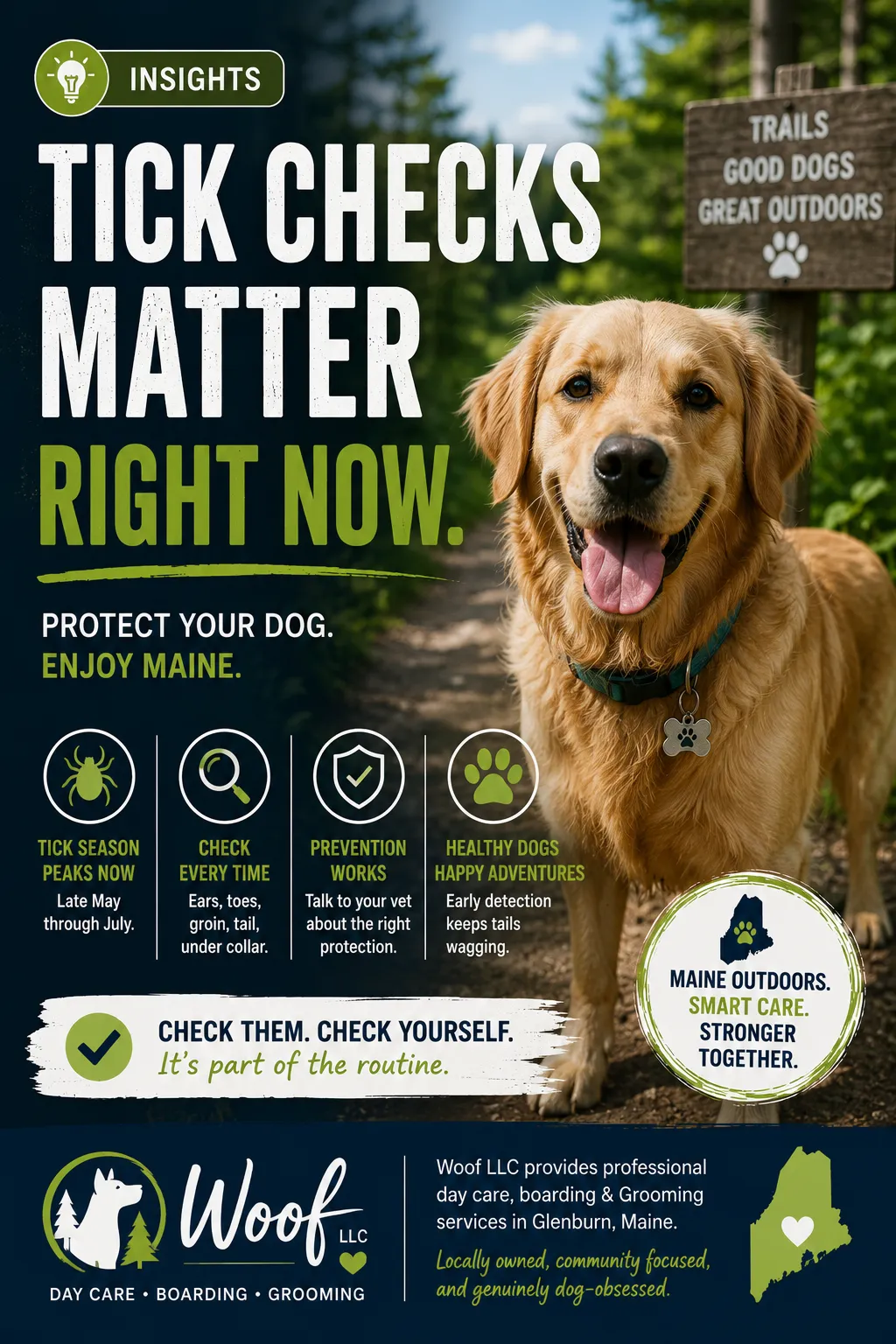 Tick Season Is Here in Bangor — What Every Dog Owner Needs to Know