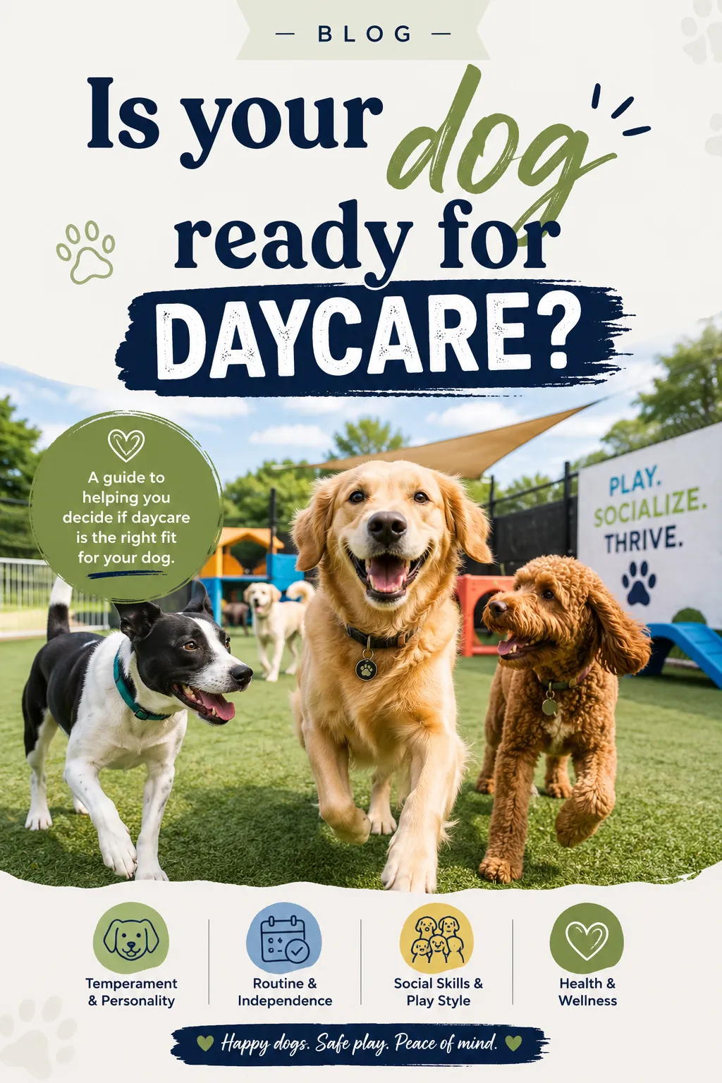 How to Know If Your Dog Is Ready for Daycare
