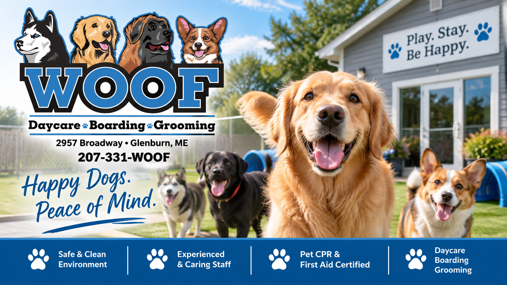Before Your Dog Boards: The Information the Care Team Needs From You
