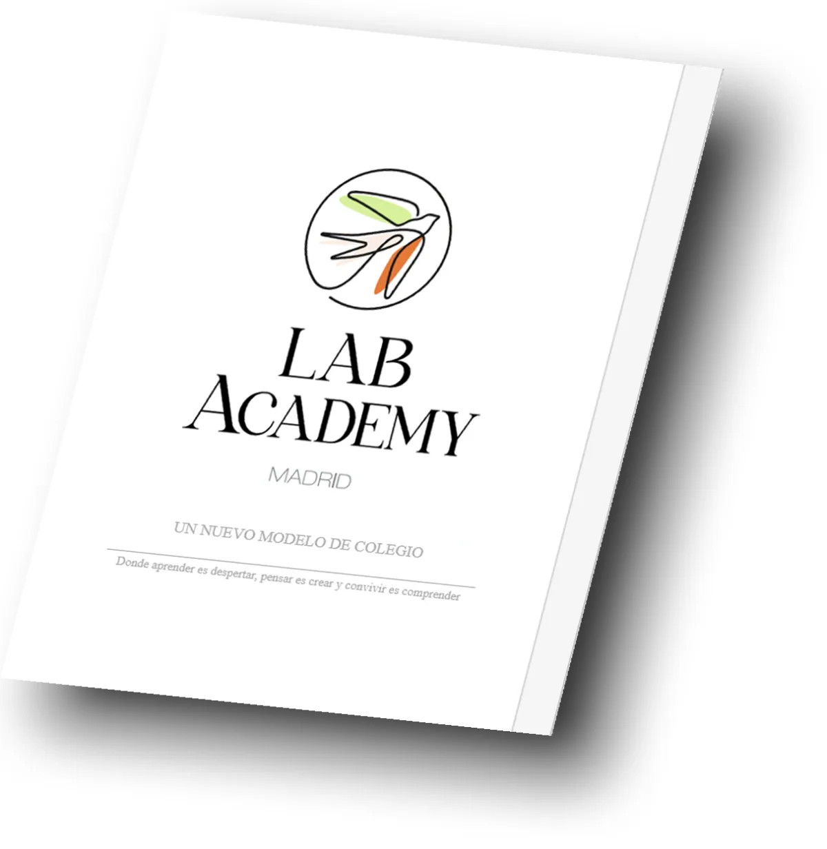 Programa Lab Aademy