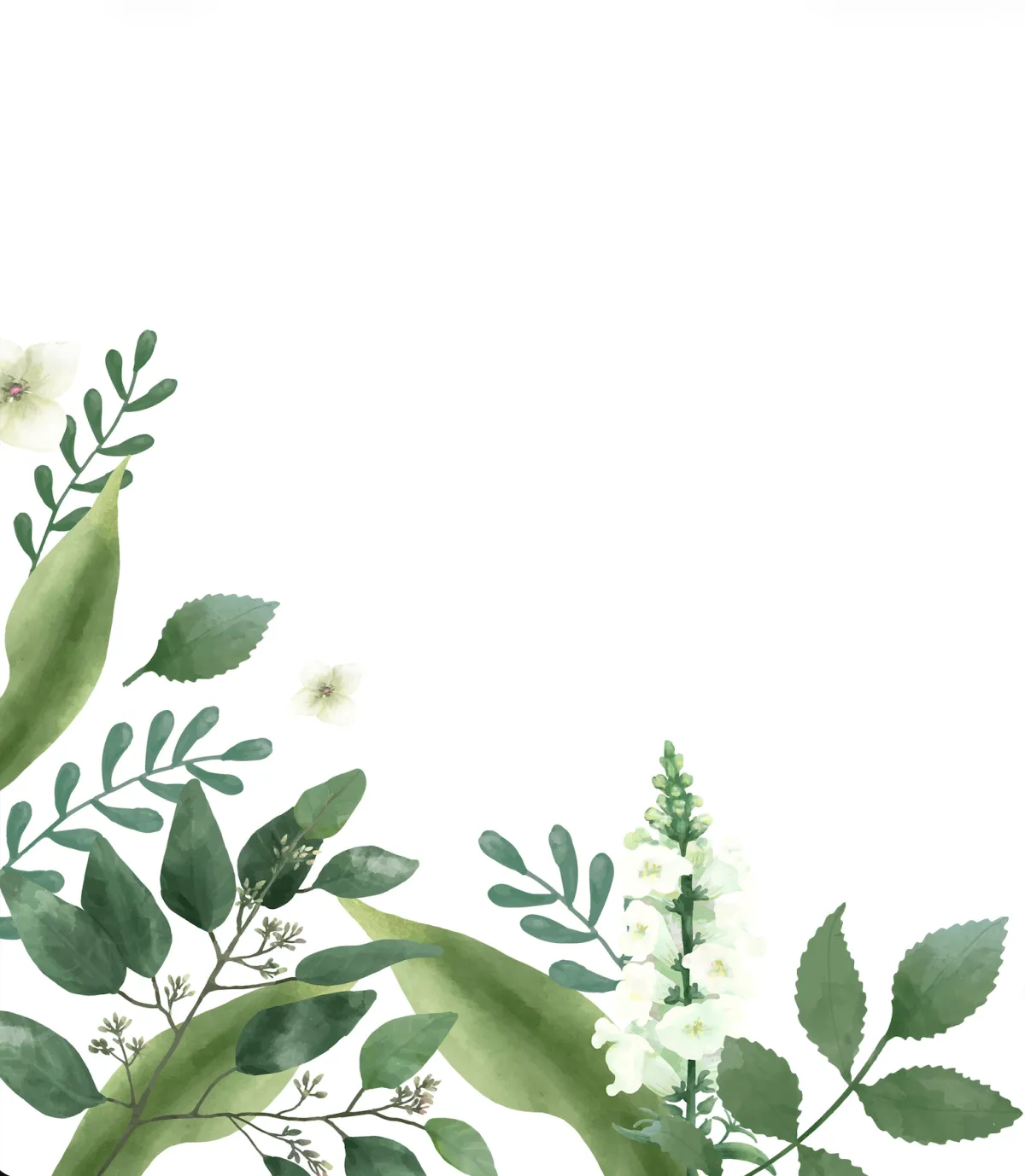 Botanical leaf border graphic in bottom left corner