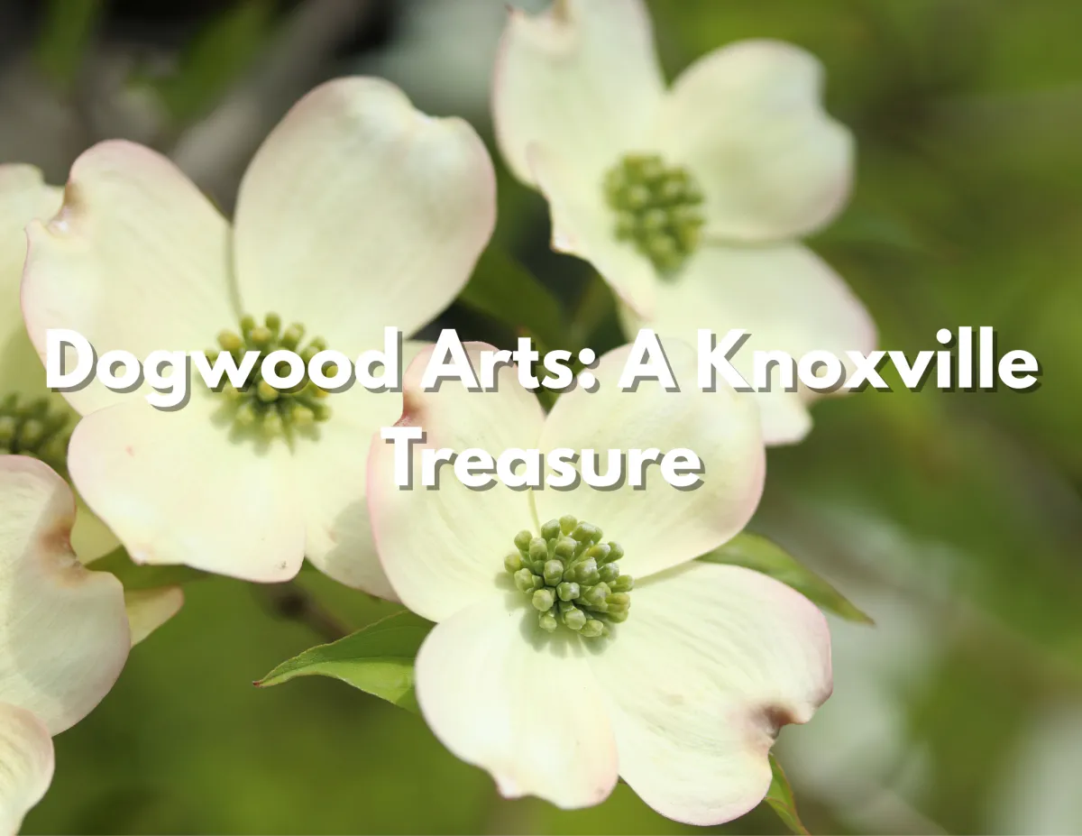 Dogwood Arts in Knoxville: A Year-Round Treasure