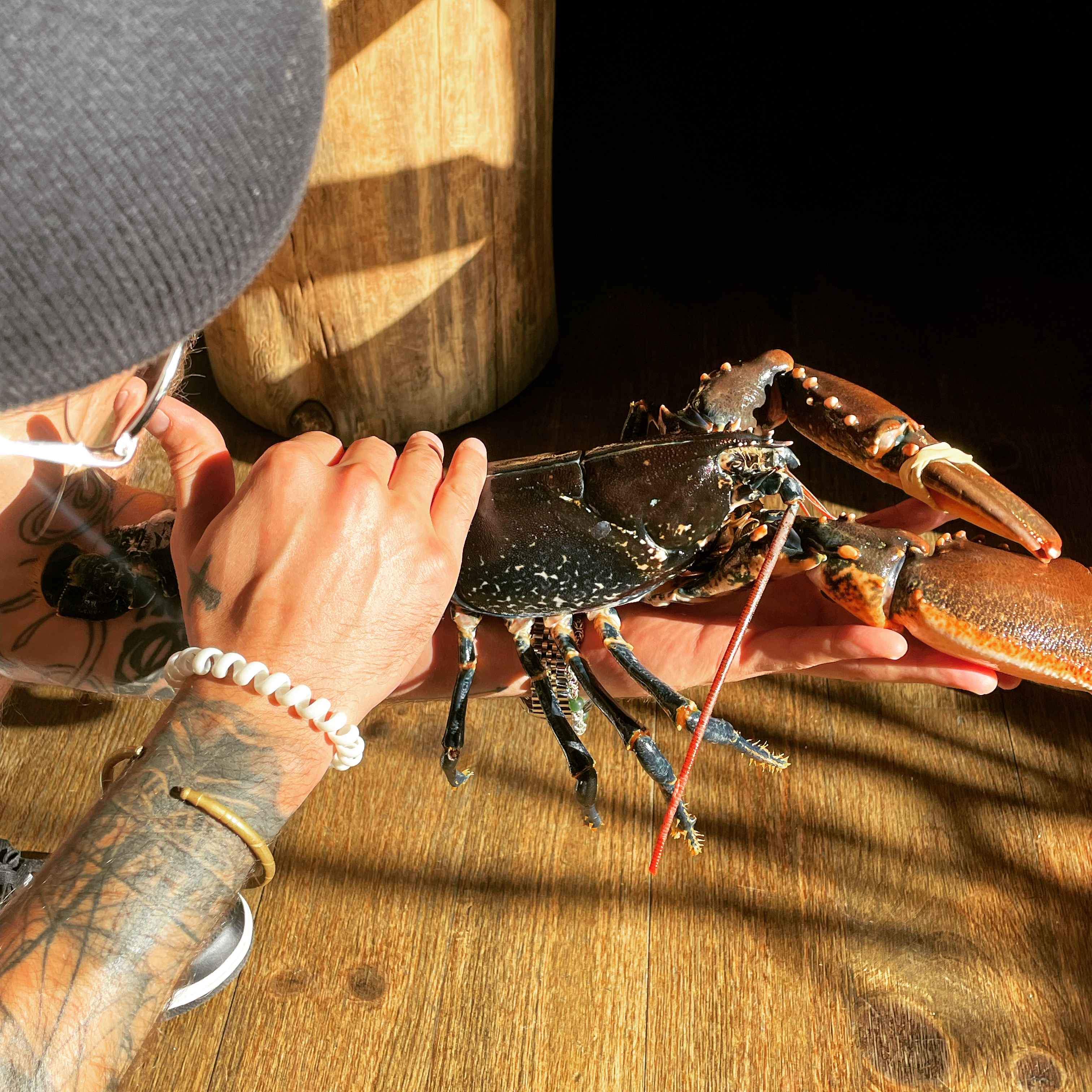 black and brown round fruits