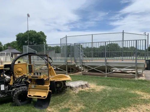 Commercial Stump Grinding in Wichita