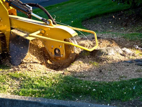 Stump Grinding Wichita