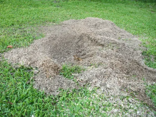 Commercial Stump Grinding Wichita
