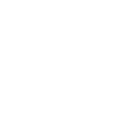 Icon von einem Fingerabdruck