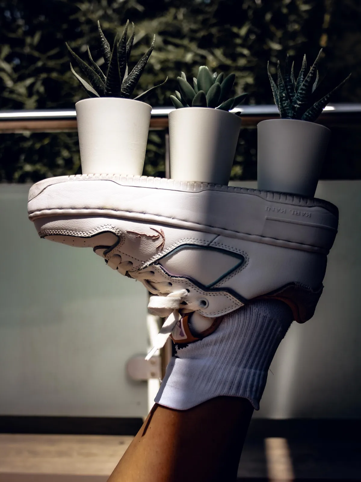 Bild von einem Schuh und Pflanzen