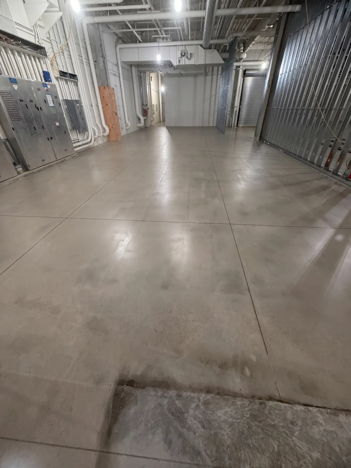 Sterling Heights Polished Concrete