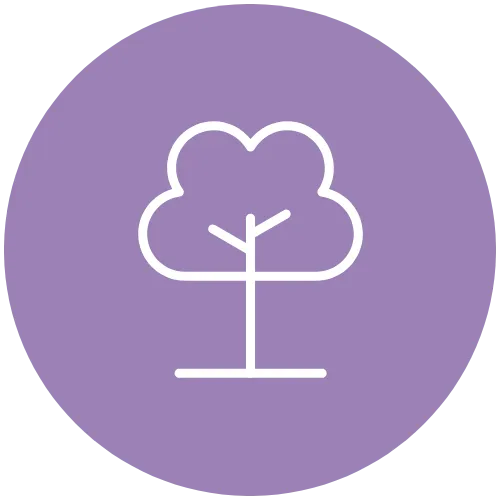 Surplus Icon