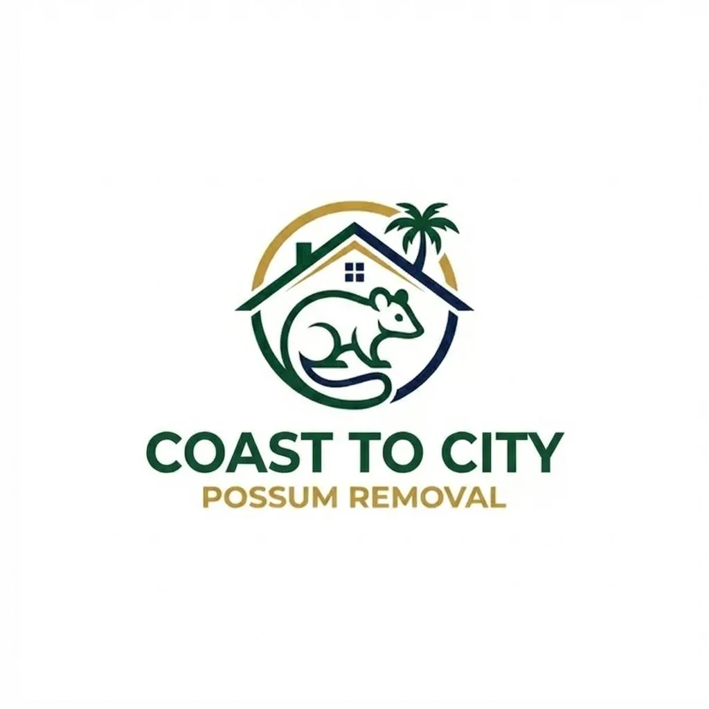 Possum Removal in Gold Coast