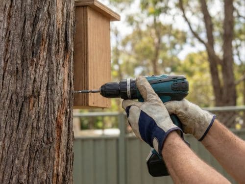 Real Estate & Strata Agents Gold Coast