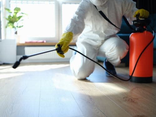 Brisbane Rodent Control