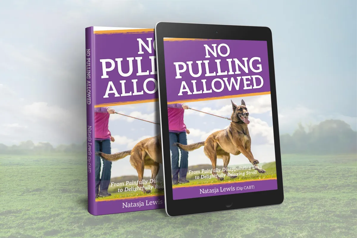 No Pulling Allowed Book and Kindle Cover