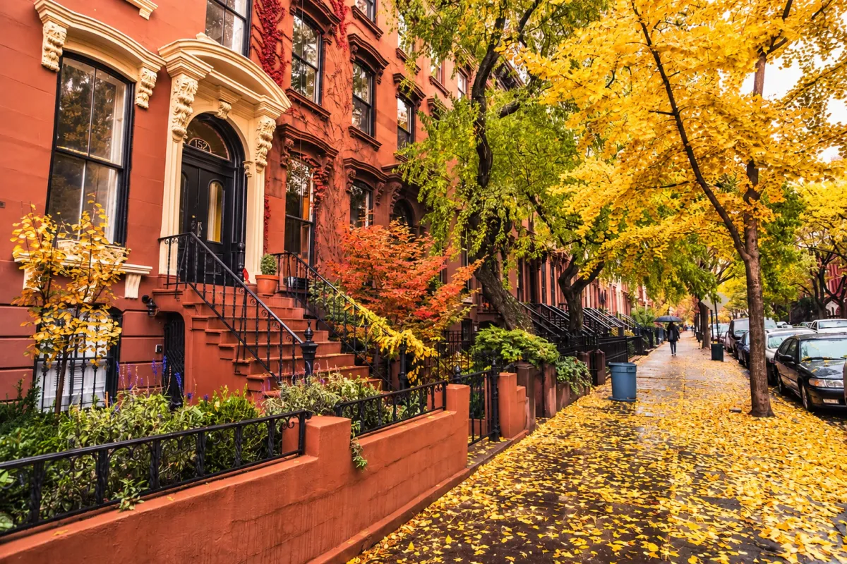 NYC brownstone homes on a tree-lined street in fall