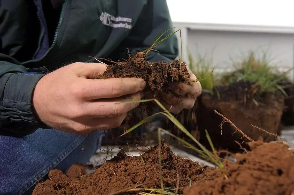 soil management in Norfolk