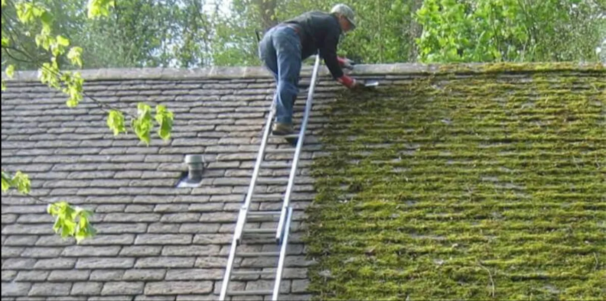 Clean gutters and downpipes on a residential home in Ringwood after professional gutter cleaning service