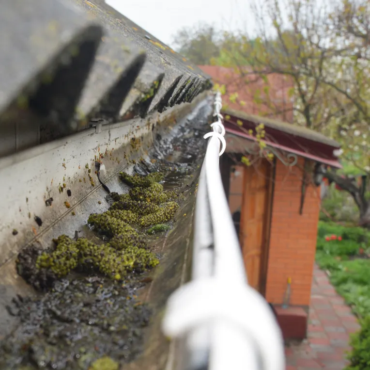 Cleaning Gutters 