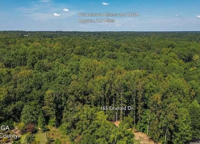 Aerial view of a large wooded forest area with dense green tree canopy under a clear blue sky.