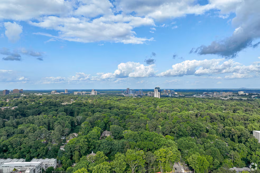 Panoramic view of city skyline in the distance with dense green forest and blue sky with clouds